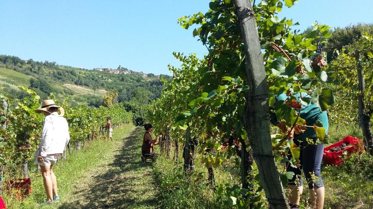 Farmstay Kmetija Stekar Kojsko Bagian luar foto