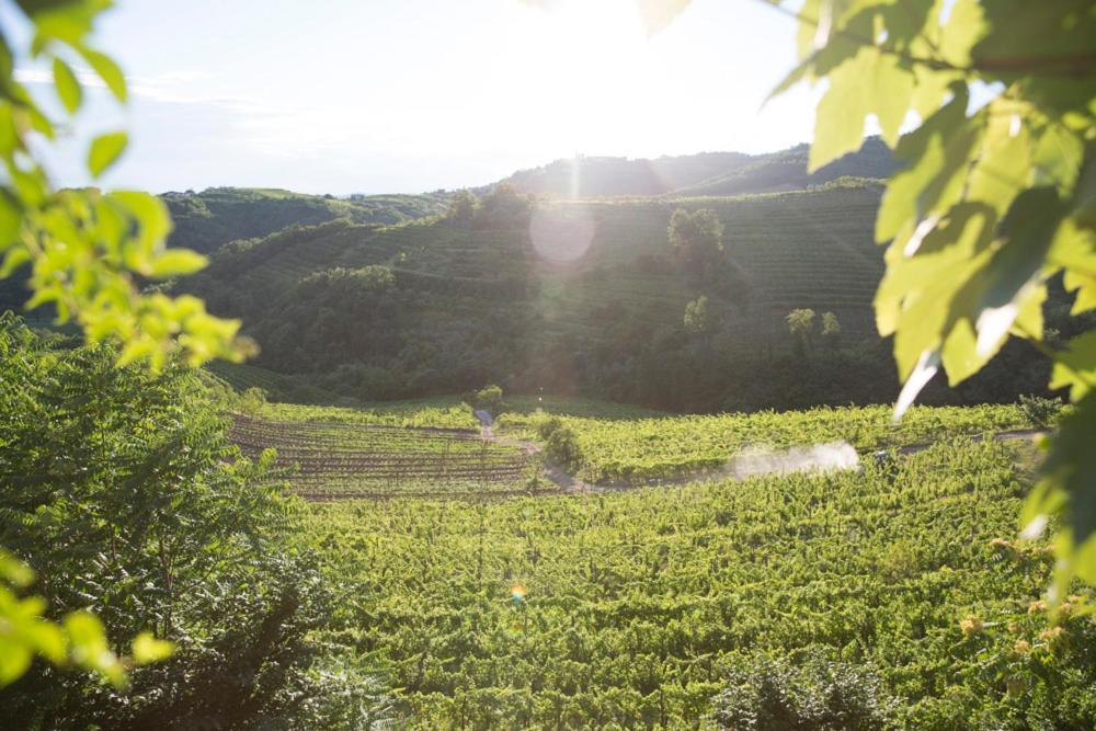 Farmstay Kmetija Stekar Kojsko Bagian luar foto