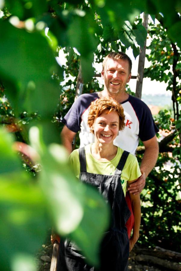 Farmstay Kmetija Stekar Kojsko Bagian luar foto