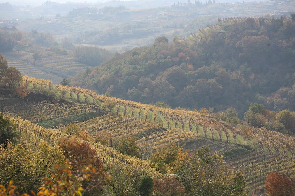 Farmstay Kmetija Stekar Kojsko Bagian luar foto