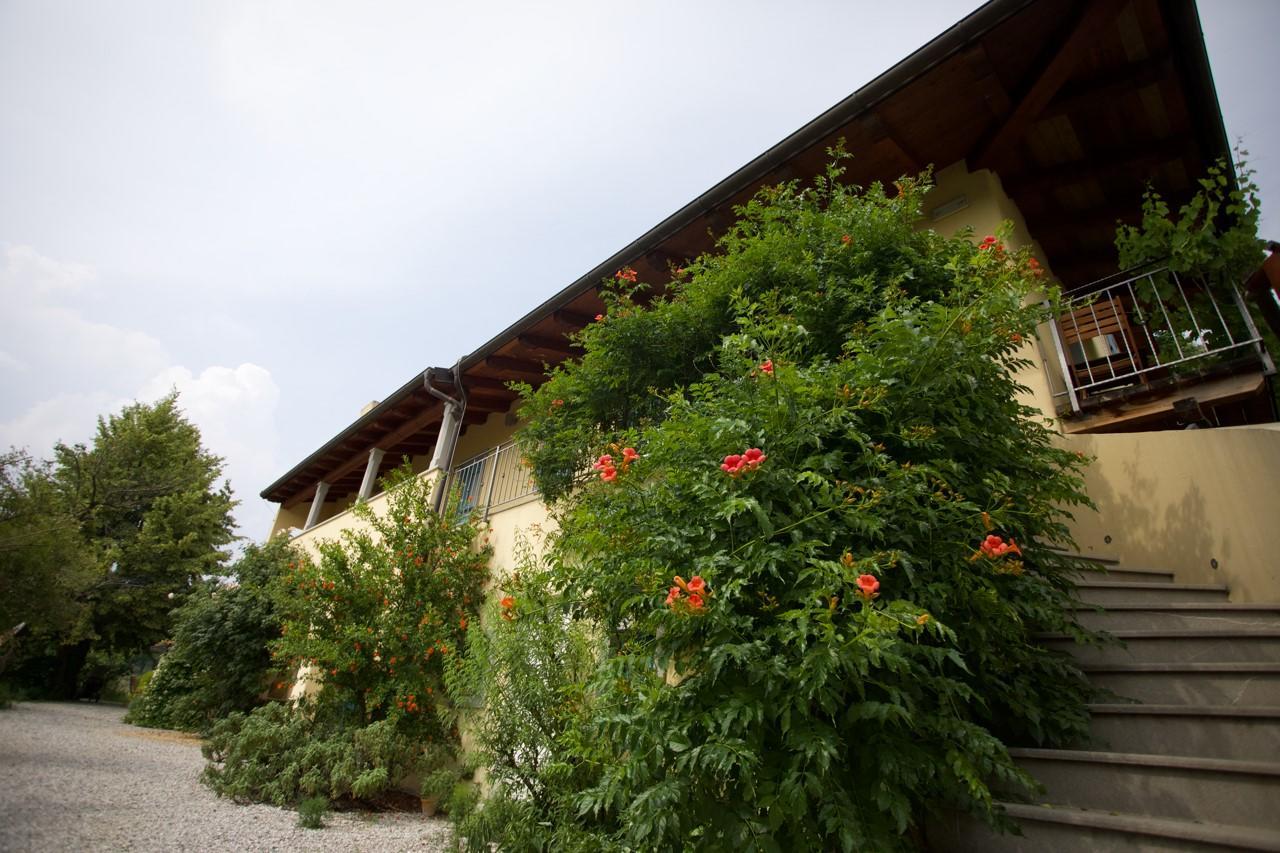 Farmstay Kmetija Stekar Kojsko Bagian luar foto