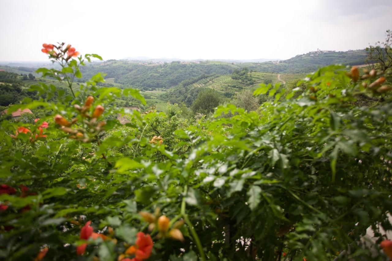 Farmstay Kmetija Stekar Kojsko Bagian luar foto